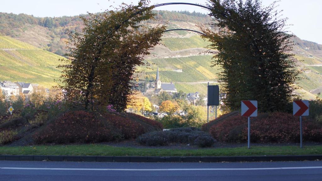 Hotel-Restaurant Ehses Zeltingen-Rachtig Bagian luar foto